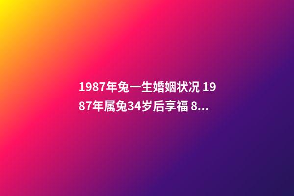 1987年兔一生婚姻状况 1987年属兔34岁后享福 87年兔的婚姻状况,1987年属兔的婚姻怎么样-第1张-观点-玄机派